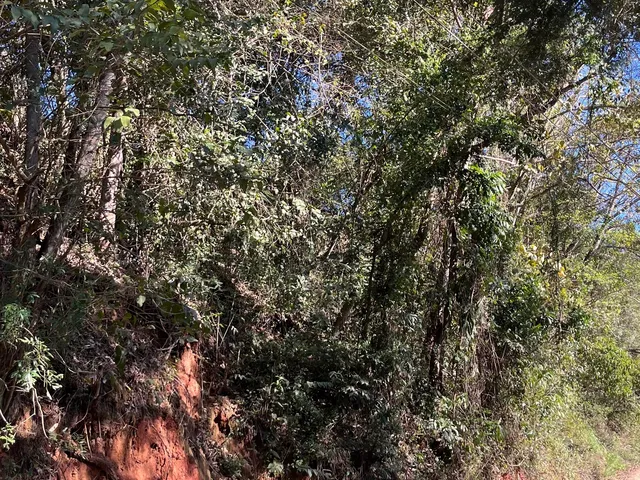 Imagem 4: Terreno Comercial Imperdível em Delfim Moreira-Mg, no Bairro Água Limpa: Oportunidade Única! 15 Hectares