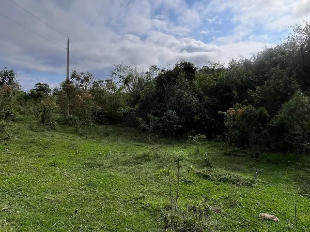 Imagem 9: Terreno à venda em Itajubá-MG, bairro Serra dos Toledos: 5.000,00 m² de área!