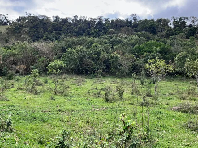Imagem 14: Terreno à venda em Itajubá-MG, bairro Serra dos Toledos: 5.000,00 m² de área!