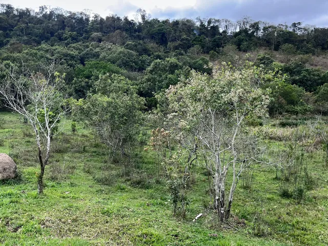 Imagem 10: Terreno à venda em Itajubá-MG, bairro Serra dos Toledos: 5.000,00 m² de área!