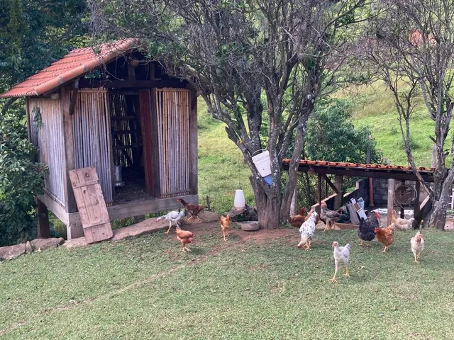 Imagem 12: Imperdível Chácara à Venda em Itajubá-MG, Bairro Angolá: 4 Quartos, 1 Sala, 1