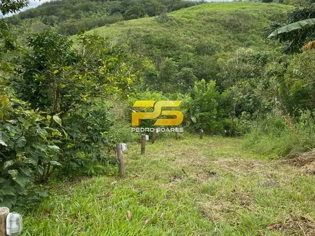 Imagem 4: Sitio a Venda com 8 Hectares Casa Sede Grande Reformada Vila Roma Bananeiras-Pb