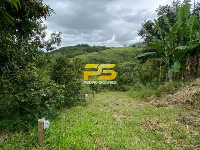 Imagem 10: Sitio a Venda com 8 Hectares Casa Sede Grande Reformada Vila Roma Bananeiras-Pb