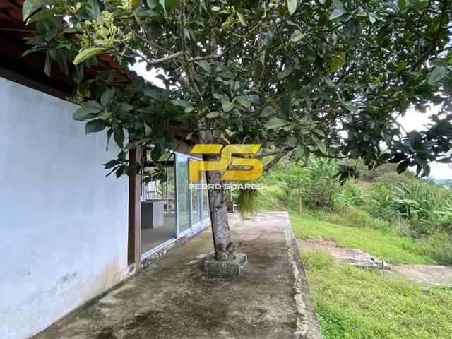 Imagem 8: Sitio a Venda com 8 Hectares Casa Sede Grande Reformada Vila Roma Bananeiras-Pb