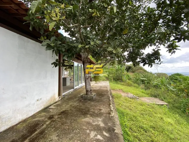 Imagem 5: Sitio a Venda com 8 Hectares Casa Sede Grande Reformada Vila Roma Bananeiras-Pb