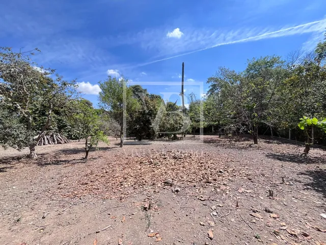 Imagem 10: Oportunidade de Investimento, Chácara 3.000m², 2km do novo aeroporto, Bandeirinhas