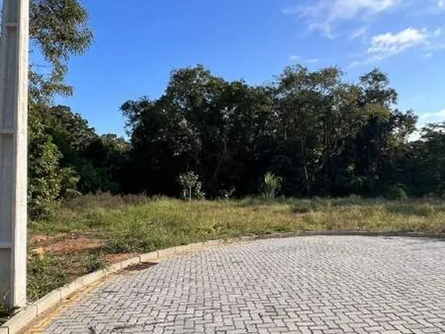 Imagem 3: Terreno À Venda, Centro Norte - Schroeder/Sc
