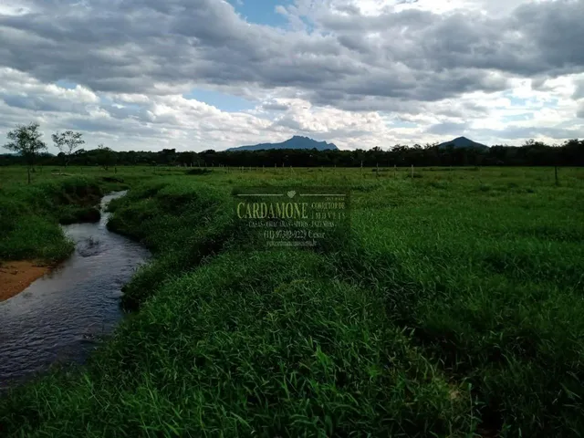 Imagem: Fazenda À Venda em Cananéia,Sp Cod 6185