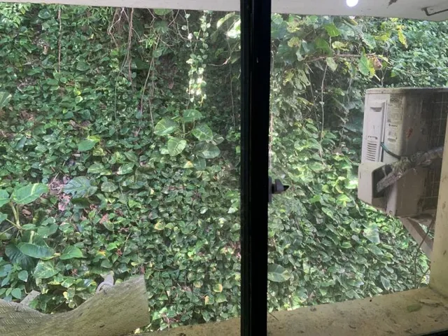 Imagem 4: Sala comercial, 34m², para locação na Garibaldi!