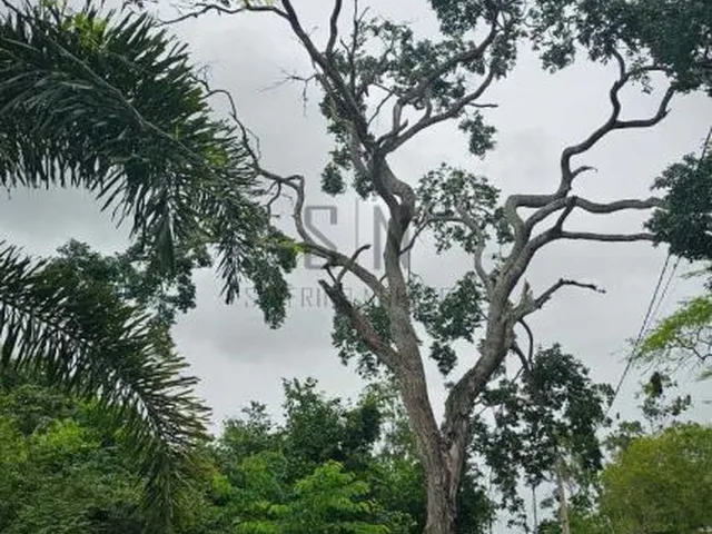 Imagem 14: Vende-se Lote Jardim Ecovalle C/312m² Condomínio fechado em área de extrema
