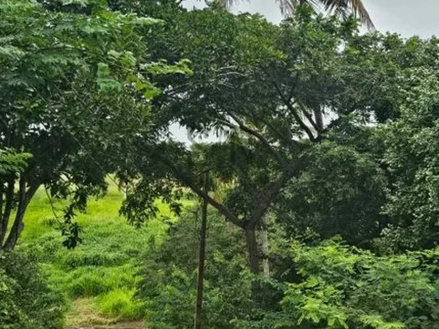 Imagem 15: Vende-se Lote Jardim Ecovalle C/312m² Condomínio fechado em área de extrema