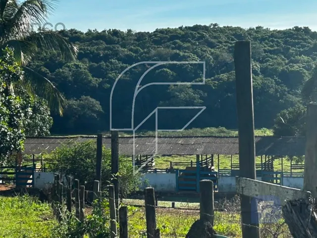 Imagem 7: HARAS RURAL em Guarapari - Espírito Santo, Comunidade Urbana de Jaboticaba