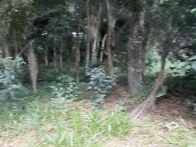 Imagem 13: Terreno à venda, 2146 m² por R$ 550.000,00 - Parque da Fazenda - Itatiba/SP