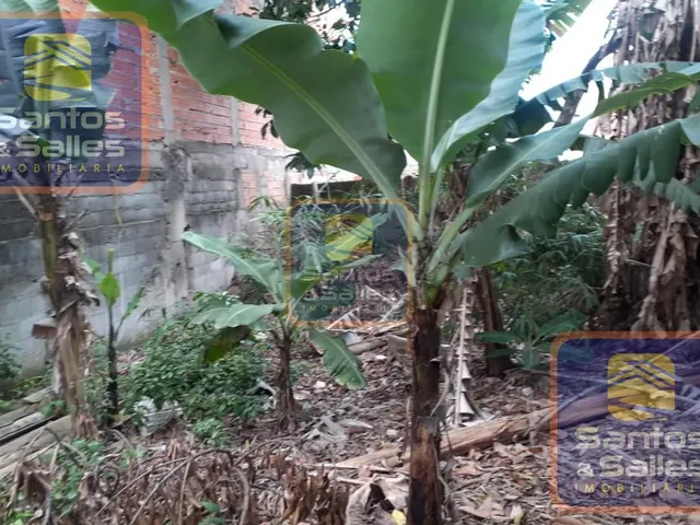 Imagem 11: Chacara Comercial em São Paulo - São Paulo, Parque dos Bancários
