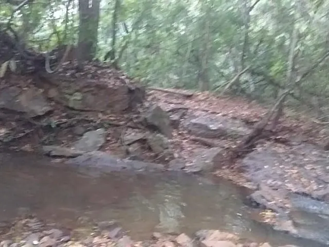 Imagem 4: Fazenda à venda em São Pedro da Cipa-MT, bairro Cidade São Pedro da Cipa, com