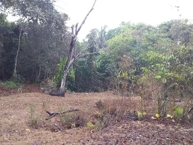 Imagem 2: Fazenda à venda em São Pedro da Cipa-MT, bairro Cidade São Pedro da Cipa, com