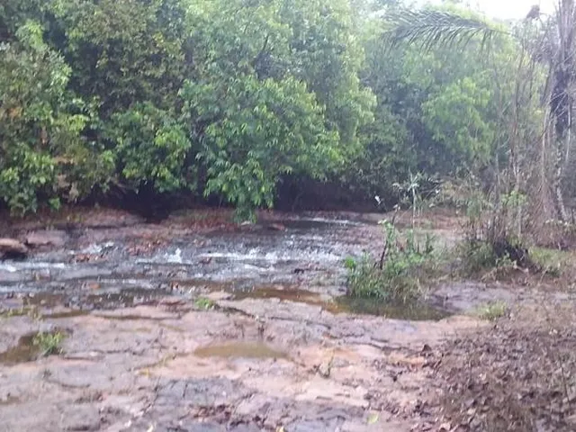 Imagem 7: Fazenda à venda em São Pedro da Cipa-MT, bairro Cidade São Pedro da Cipa, com