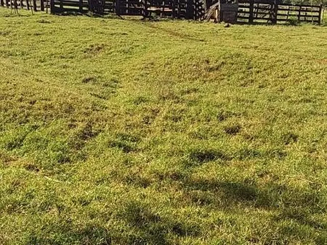 Imagem 9: Fazenda à venda em São Pedro da Cipa-MT, bairro Cidade São Pedro da Cipa, com