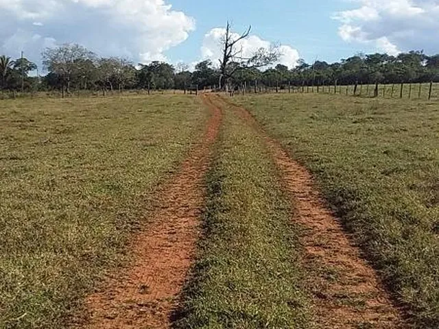 Imagem 12: Fazenda à venda em São Pedro da Cipa-MT, bairro Cidade São Pedro da Cipa, com