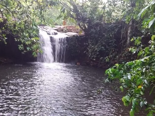 Imagem 8: Fazenda à venda em São Pedro da Cipa-MT, bairro Cidade São Pedro da Cipa, com