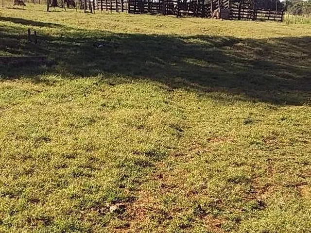 Imagem 6: Fazenda à venda em São Pedro da Cipa-MT, bairro Cidade São Pedro da Cipa, com