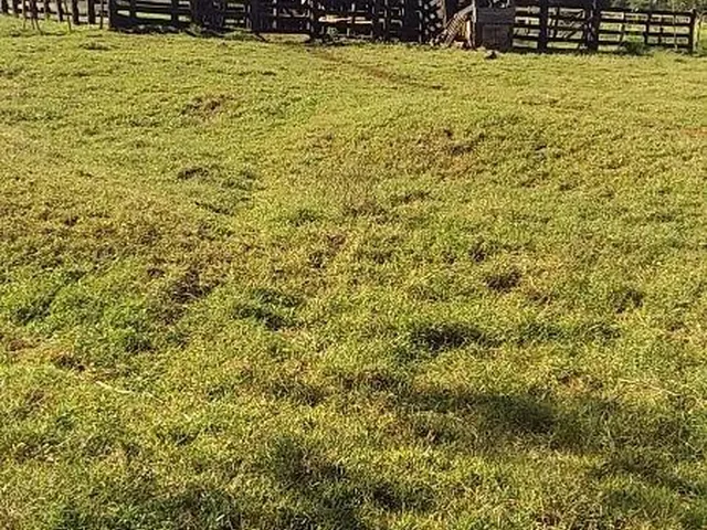 Imagem 5: Fazenda à venda em São Pedro da Cipa-MT, bairro Cidade São Pedro da Cipa, com