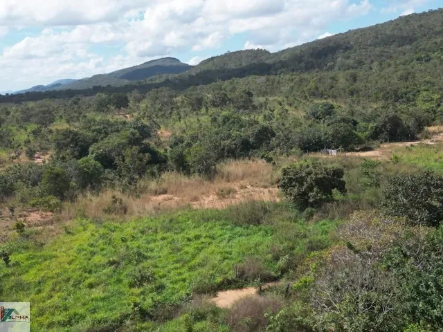 Imagem 10: Fazenda à Venda em Cáceres-MT: 2.850.000,00 m² de Pura Oportunidade na Cidade de