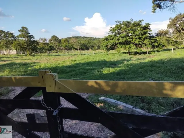 Imagem 4: FAZENDA RURAL em Nobres - Mato Grosso