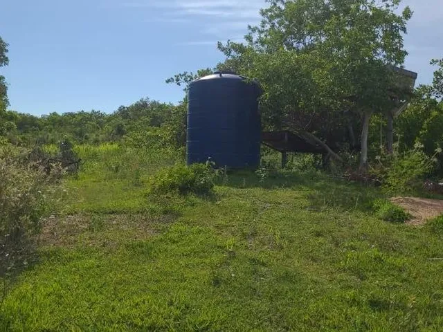 Imagem 10: FAZENDA RURAL em Nobres - Mato Grosso