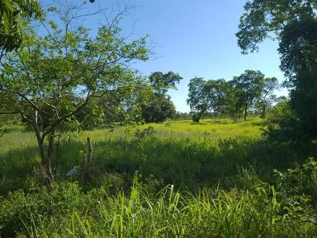 Imagem 7: FAZENDA RURAL em Nobres - Mato Grosso