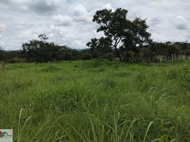 Imagem 3: FAZENDA RURAL em Nobres - Mato Grosso