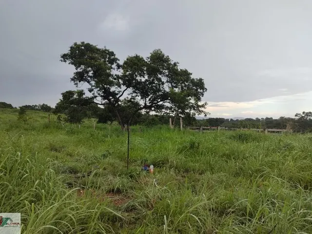 Imagem 11: FAZENDA RURAL em Nobres - Mato Grosso
