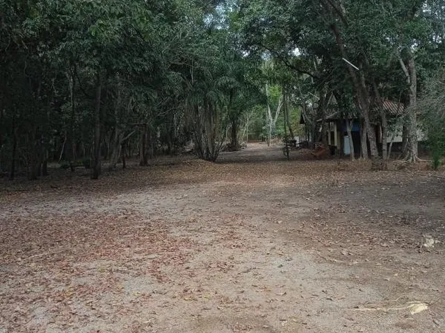 Imagem 13: FAZENDA RURAL em Nobres - Mato Grosso