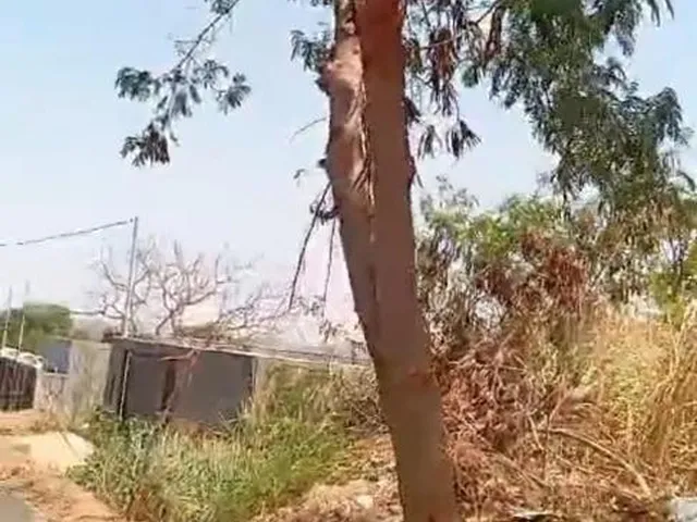 Imagem 5: Vendo Lote Jardim Jussara Caldas Novas Goiás