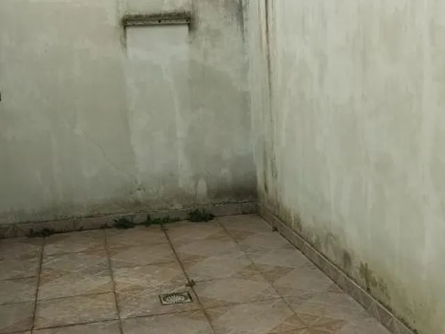 Imagem 11: Amplo 2 Dorm À 150M da Av. Flores da Cunha