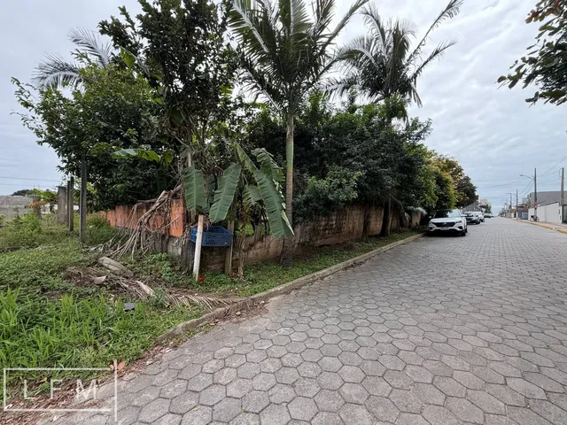Imagem 11: Terreno Pronto para Construir em Balneário Pícarras Sc