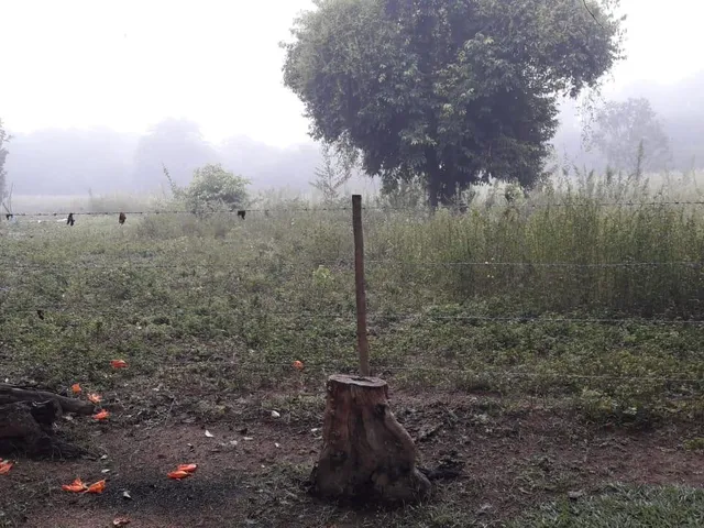 Imagem 7: FAZENDA RURAL em Esmeraldas - Minas Gerais, Área Rural de Esmeraldas