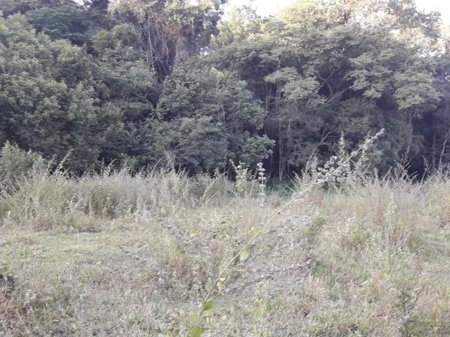 Imagem 12: FAZENDA RURAL em Esmeraldas - Minas Gerais, Área Rural de Esmeraldas