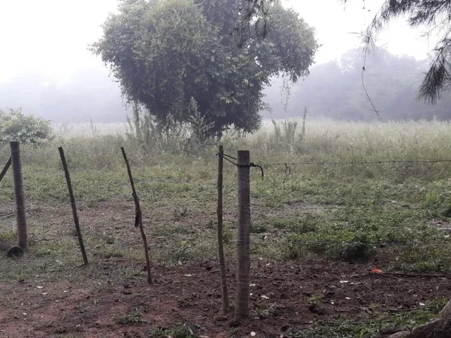 Imagem 6: FAZENDA RURAL em Esmeraldas - Minas Gerais, Área Rural de Esmeraldas