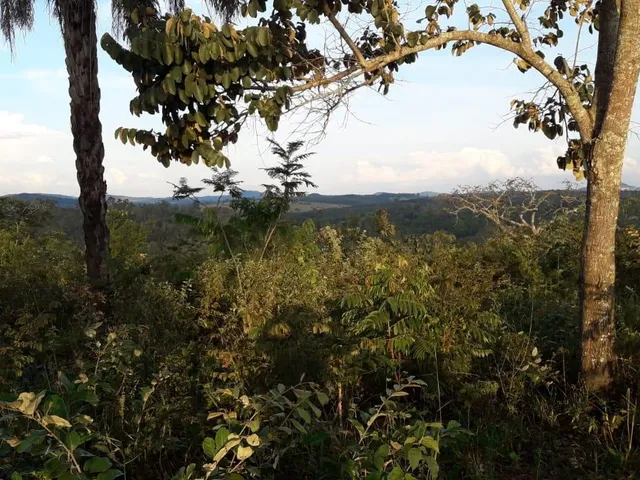Imagem 11: FAZENDA RURAL em Esmeraldas - Minas Gerais, Área Rural de Esmeraldas
