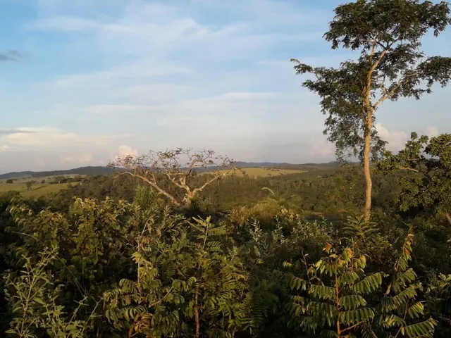 Imagem 14: FAZENDA RURAL em Esmeraldas - Minas Gerais, Área Rural de Esmeraldas