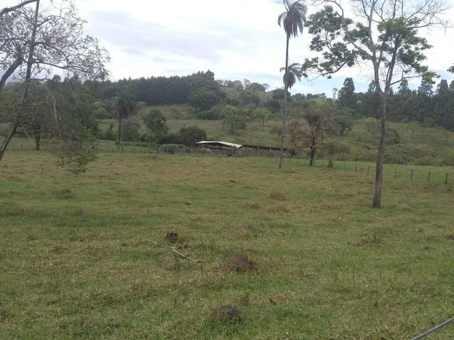Imagem 13: Fazenda Rural em Taquaraçu de Minas - Minas Gerais