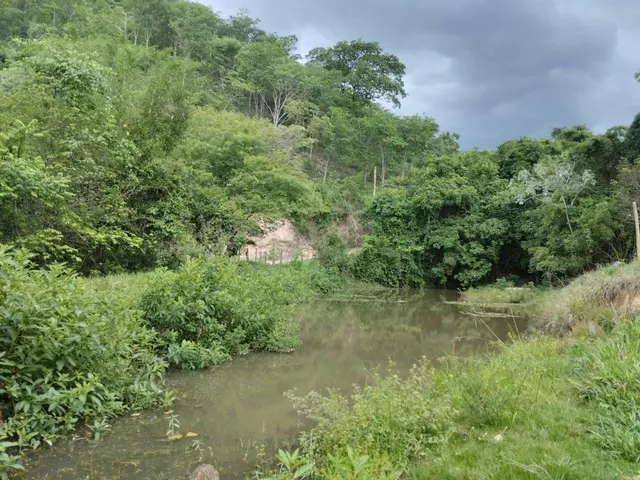 Imagem 14: Fazenda Rural em Pará de Minas - Minas Gerais, Torneiros