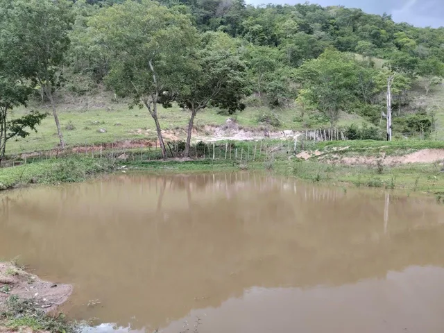 Imagem 3: Fazenda Rural em Pará de Minas - Minas Gerais, Torneiros