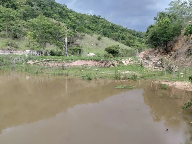 Imagem 7: Fazenda Rural em Pará de Minas - Minas Gerais, Torneiros