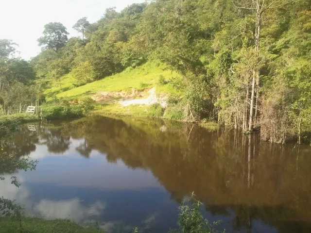 Imagem 15: Fazenda Rural em Pará de Minas - Minas Gerais, Torneiros