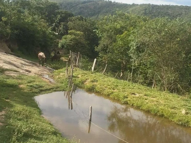 Imagem 10: Fazenda Rural em Pará de Minas - Minas Gerais, Torneiros