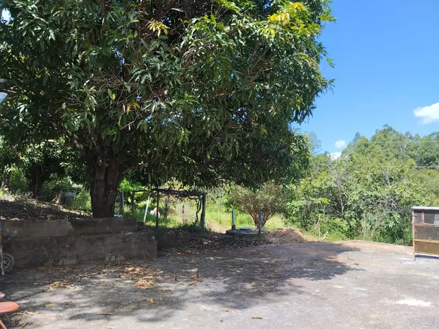 Imagem 9: FAZENDA RURAL em Jaboticatubas - Minas Gerais, Bairro Areias