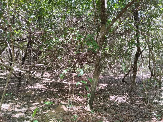 Imagem 11: FAZENDA RURAL em Jaboticatubas - Minas Gerais, Bairro Areias