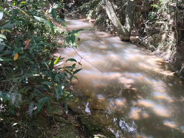 Imagem 5: FAZENDA RURAL em Jaboticatubas - Minas Gerais, Bairro Areias